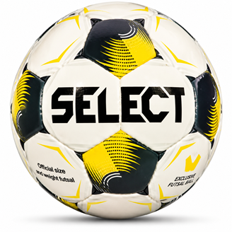 Image sur MINIVOETBAL FLANDRE