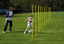 Picture of 160cm Yellow slalom poles
