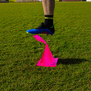 Image de lot 4 c. rose flex h30cm
